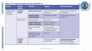 The Structural and Functional Localization of Cerebral Cortex | PDF