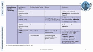 The Structural and Functional Localization of Cerebral Cortex | PDF