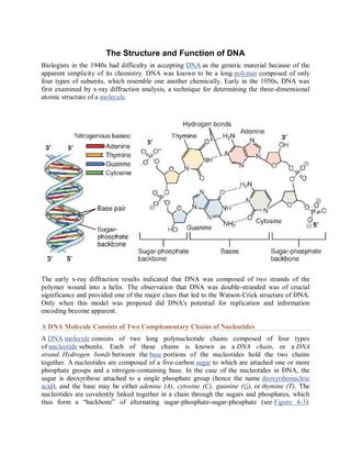 Spring Example For Dna Structure The Structure and Function of DNA: Molecular Basis of Heredity and ...