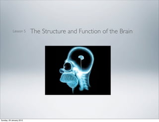 Lesson 5      The Structure and Function of the Brain




Sunday, 29 January 2012
 