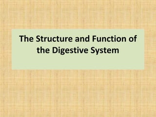The Structure and Function of
the Digestive System
 