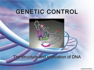 GENETIC CONTROL




The structure and replication of DNA

                                   ALBIO9700/2006JK
 