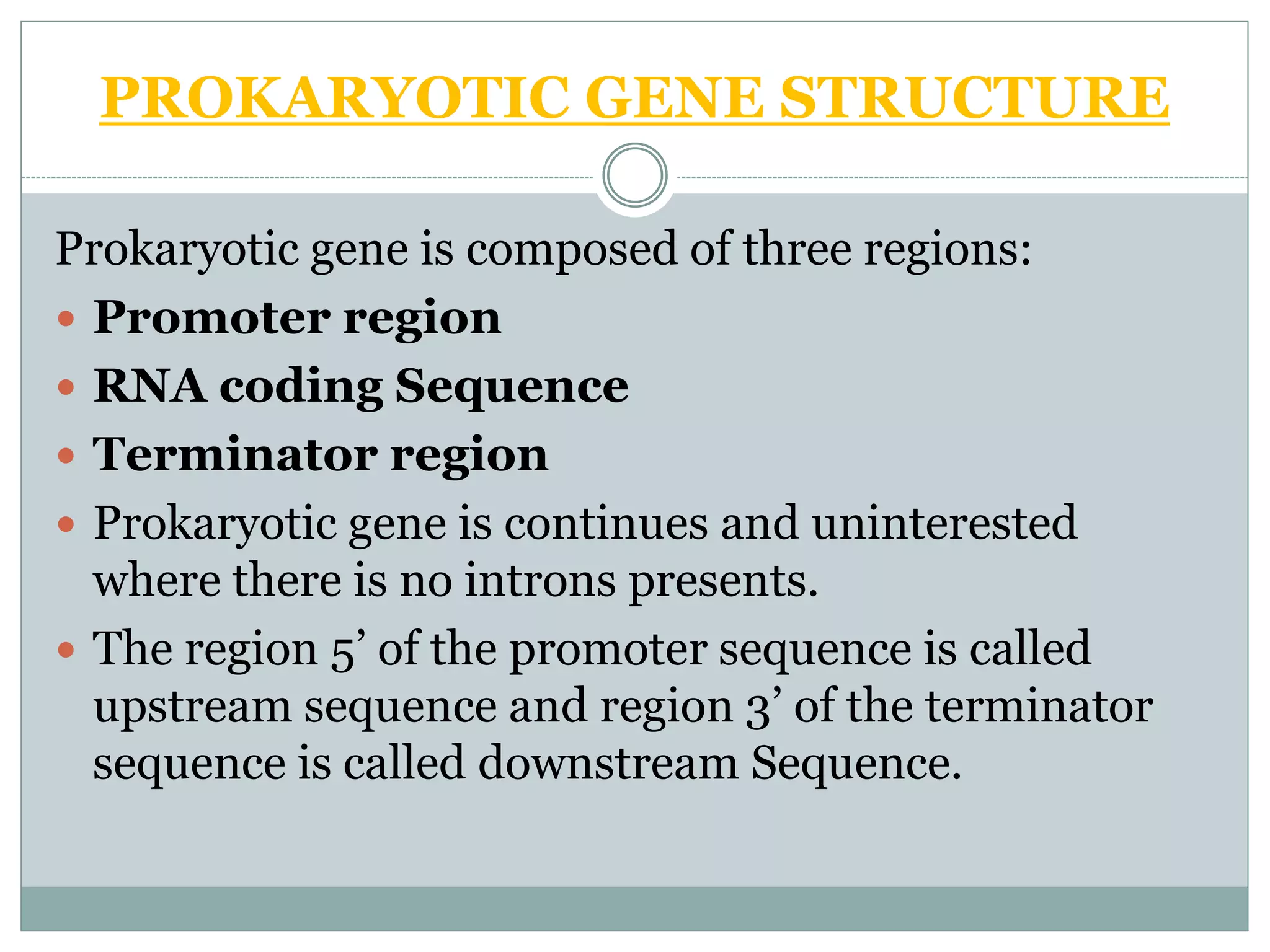 PROKARYOTIC GENE STRUCTURE
Prokaryotic gene is composed of three regions:
 Promoter region
 RNA coding Sequence
 Terminator region
 Prokaryotic gene is continues and uninterested
where there is no introns presents.
 The region 5’ of the promoter sequence is called
upstream sequence and region 3’ of the terminator
sequence is called downstream Sequence.
 