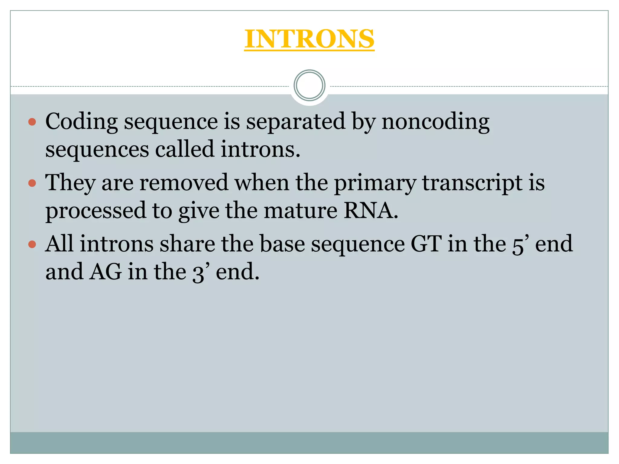 INTRONS
 Coding sequence is separated by noncoding
sequences called introns.
 They are removed when the primary transcript is
processed to give the mature RNA.
 All introns share the base sequence GT in the 5’ end
and AG in the 3’ end.
 