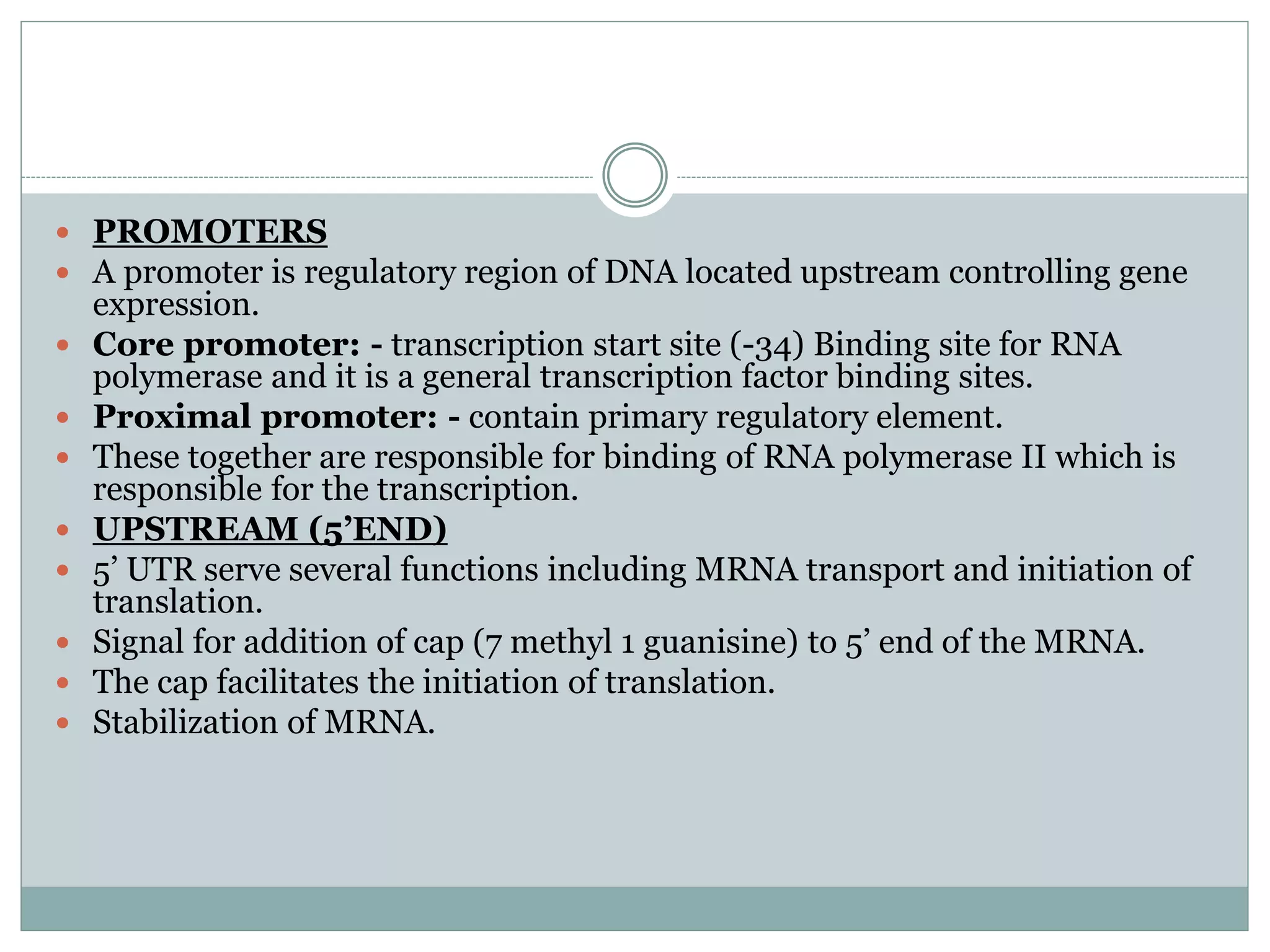  PROMOTERS
 A promoter is regulatory region of DNA located upstream controlling gene
expression.
 Core promoter: - transcription start site (-34) Binding site for RNA
polymerase and it is a general transcription factor binding sites.
 Proximal promoter: - contain primary regulatory element.
 These together are responsible for binding of RNA polymerase II which is
responsible for the transcription.
 UPSTREAM (5’END)
 5’ UTR serve several functions including MRNA transport and initiation of
translation.
 Signal for addition of cap (7 methyl 1 guanisine) to 5’ end of the MRNA.
 The cap facilitates the initiation of translation.
 Stabilization of MRNA.
 