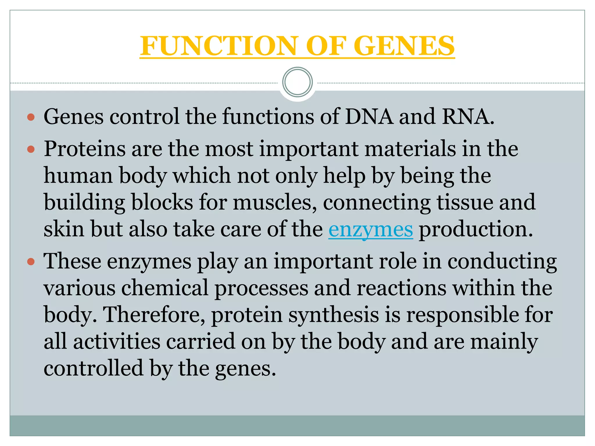 FUNCTION OF GENES
 Genes control the functions of DNA and RNA.
 Proteins are the most important materials in the
human body which not only help by being the
building blocks for muscles, connecting tissue and
skin but also take care of the enzymes production.
 These enzymes play an important role in conducting
various chemical processes and reactions within the
body. Therefore, protein synthesis is responsible for
all activities carried on by the body and are mainly
controlled by the genes.
 