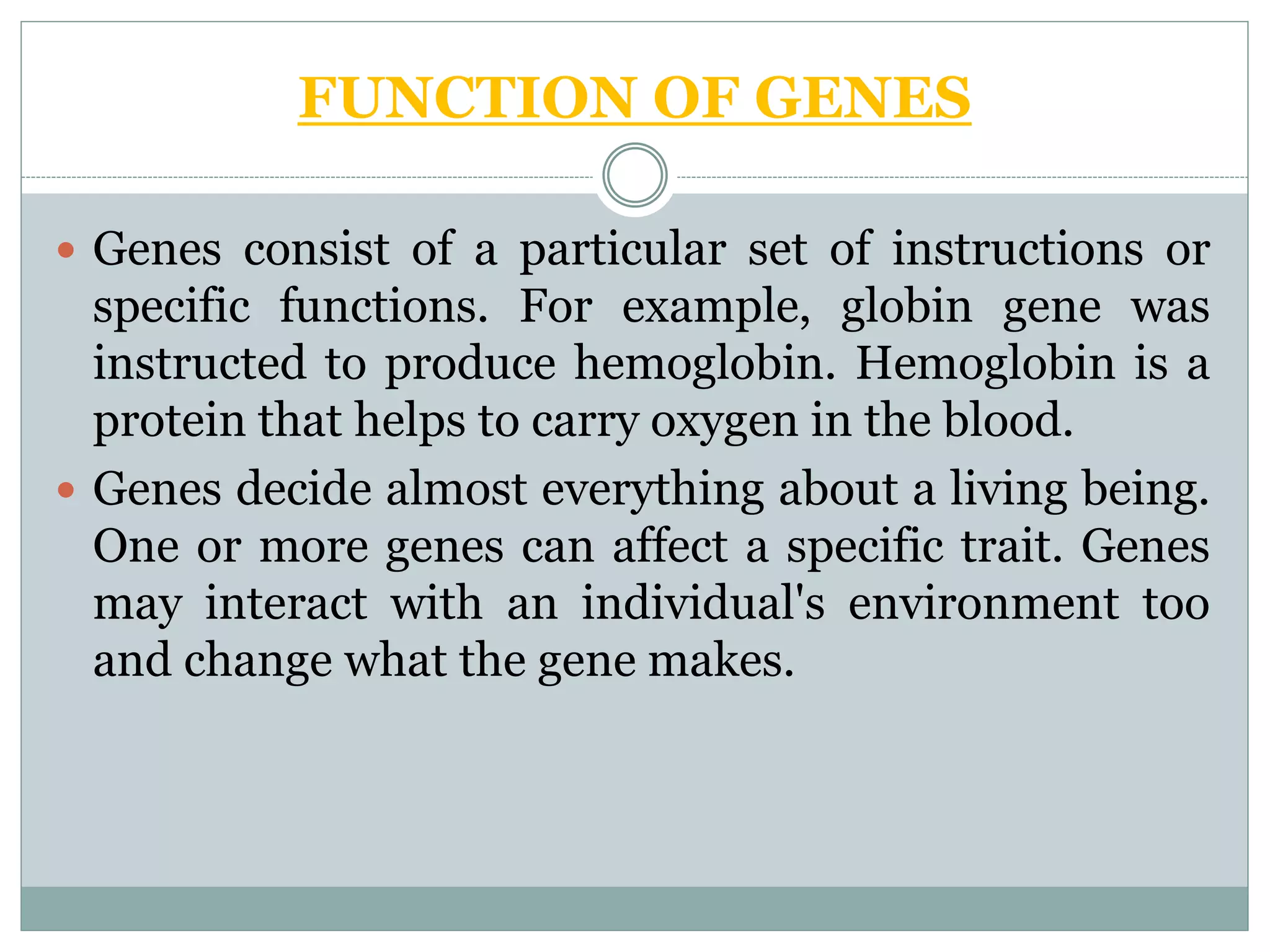 FUNCTION OF GENES
 Genes consist of a particular set of instructions or
specific functions. For example, globin gene was
instructed to produce hemoglobin. Hemoglobin is a
protein that helps to carry oxygen in the blood.
 Genes decide almost everything about a living being.
One or more genes can affect a specific trait. Genes
may interact with an individual's environment too
and change what the gene makes.
 