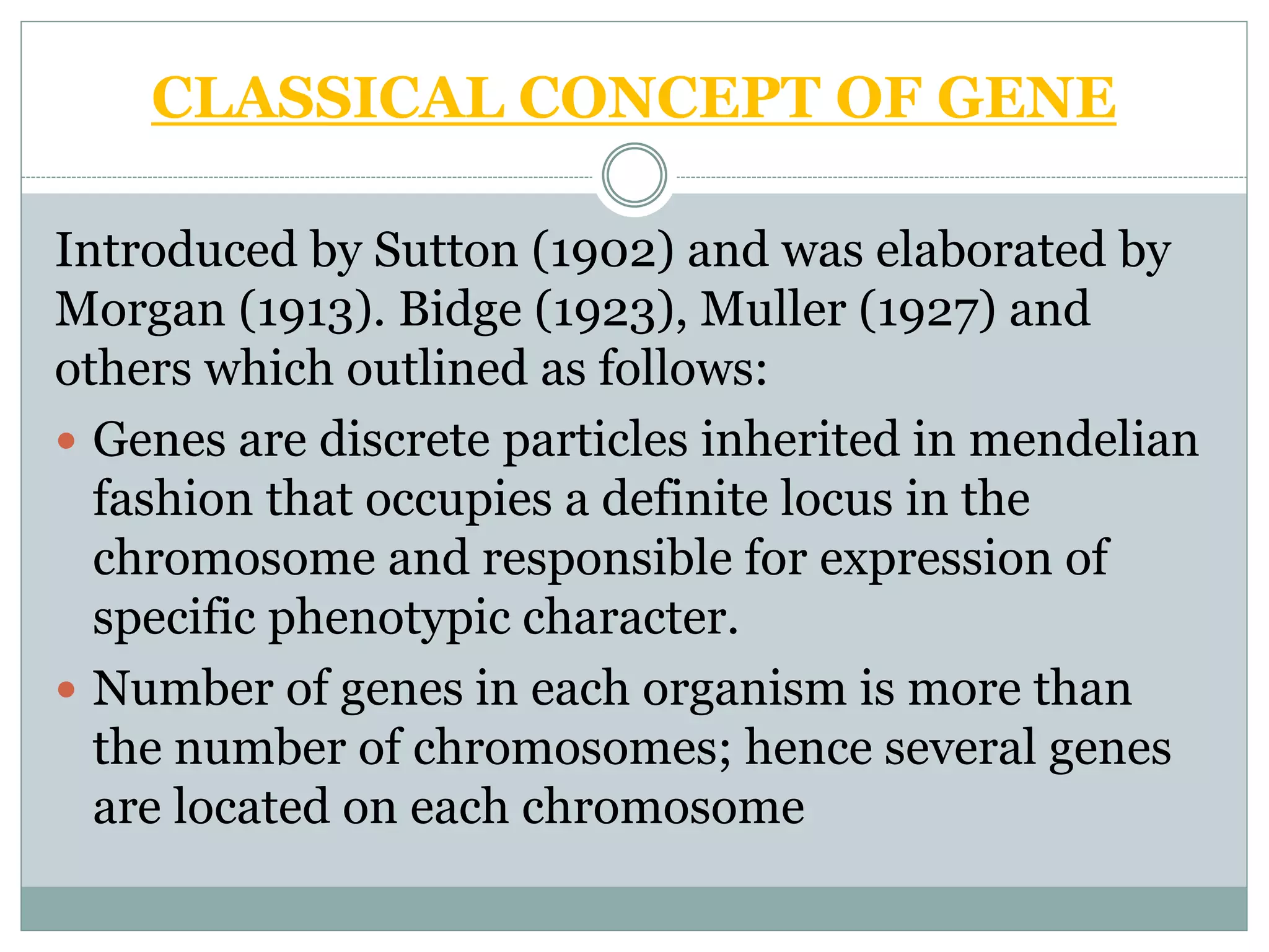 CLASSICAL CONCEPT OF GENE
Introduced by Sutton (1902) and was elaborated by
Morgan (1913). Bidge (1923), Muller (1927) and
others which outlined as follows:
 Genes are discrete particles inherited in mendelian
fashion that occupies a definite locus in the
chromosome and responsible for expression of
specific phenotypic character.
 Number of genes in each organism is more than
the number of chromosomes; hence several genes
are located on each chromosome
 
