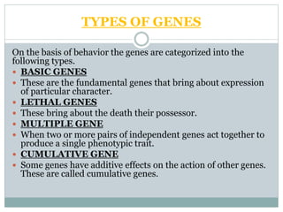 The structure & function of genes | PPTX