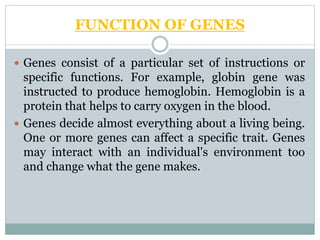 FUNCTION OF GENES
 Genes consist of a particular set of instructions or
specific functions. For example, globin gene was
instructed to produce hemoglobin. Hemoglobin is a
protein that helps to carry oxygen in the blood.
 Genes decide almost everything about a living being.
One or more genes can affect a specific trait. Genes
may interact with an individual's environment too
and change what the gene makes.
 