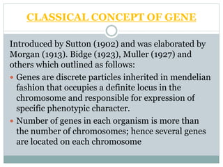 CLASSICAL CONCEPT OF GENE
Introduced by Sutton (1902) and was elaborated by
Morgan (1913). Bidge (1923), Muller (1927) and
others which outlined as follows:
 Genes are discrete particles inherited in mendelian
fashion that occupies a definite locus in the
chromosome and responsible for expression of
specific phenotypic character.
 Number of genes in each organism is more than
the number of chromosomes; hence several genes
are located on each chromosome
 