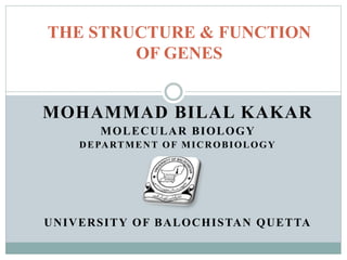 MOHAMMAD BILAL KAKAR
MOLECULAR BIOLOGY
DEPARTMENT OF MICROBIOLOGY
UNIVERSITY OF BALOCHISTAN QUETTA
THE STRUCTURE & FUNCTION
OF GENES
 