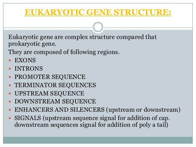 The structure & function of genes