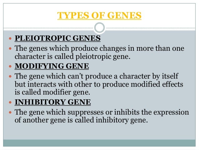 The structure & function of genes