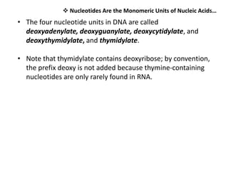 • The four nucleotide units in DNA are called
deoxyadenylate, deoxyguanylate, deoxycytidylate, and
deoxythymidylate, and t...
