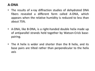 Nucleosides
RNA
DNA
 