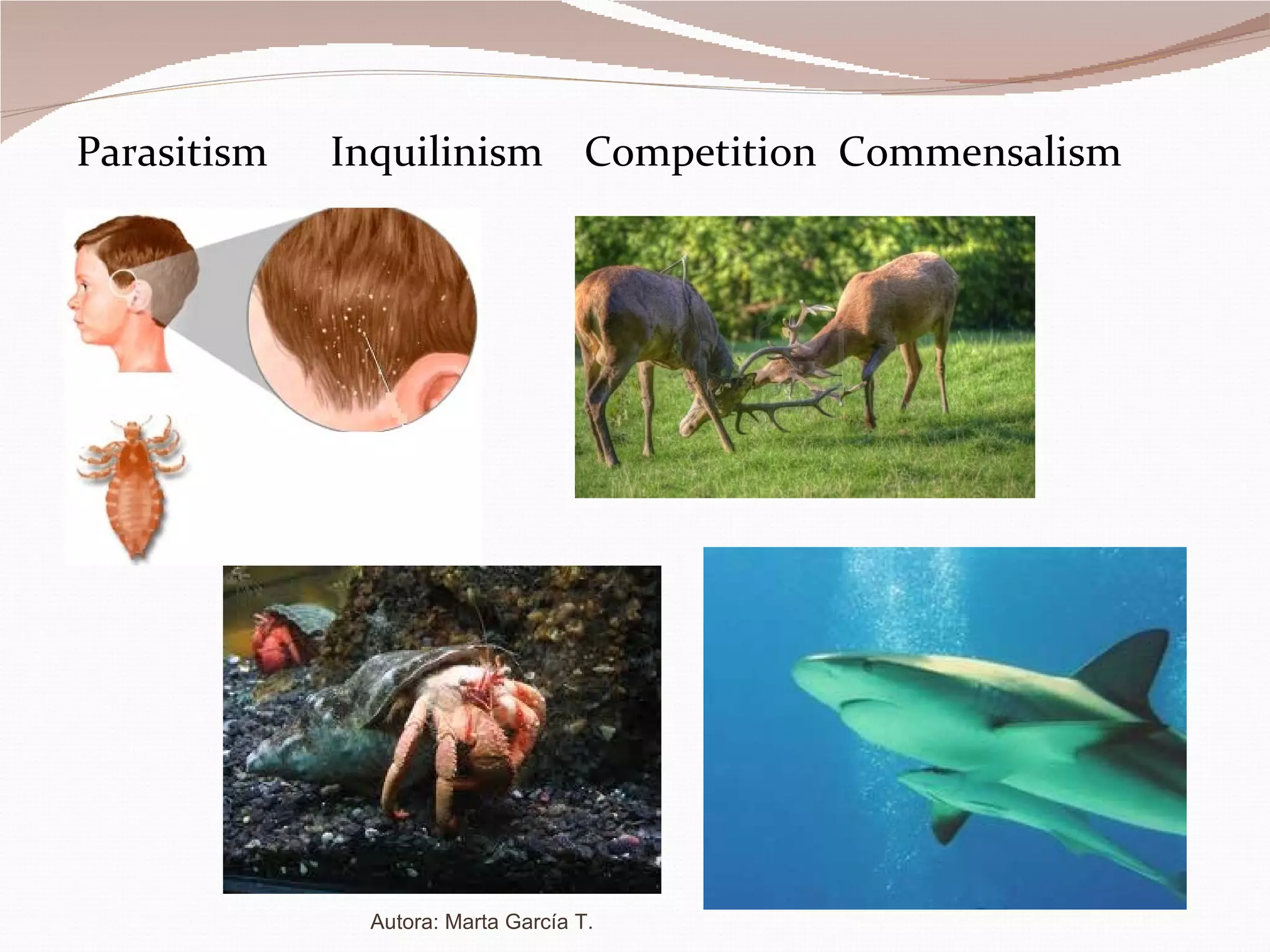 Parasitism Inquilinism Competition  Commensalism Autora: Marta García T. 