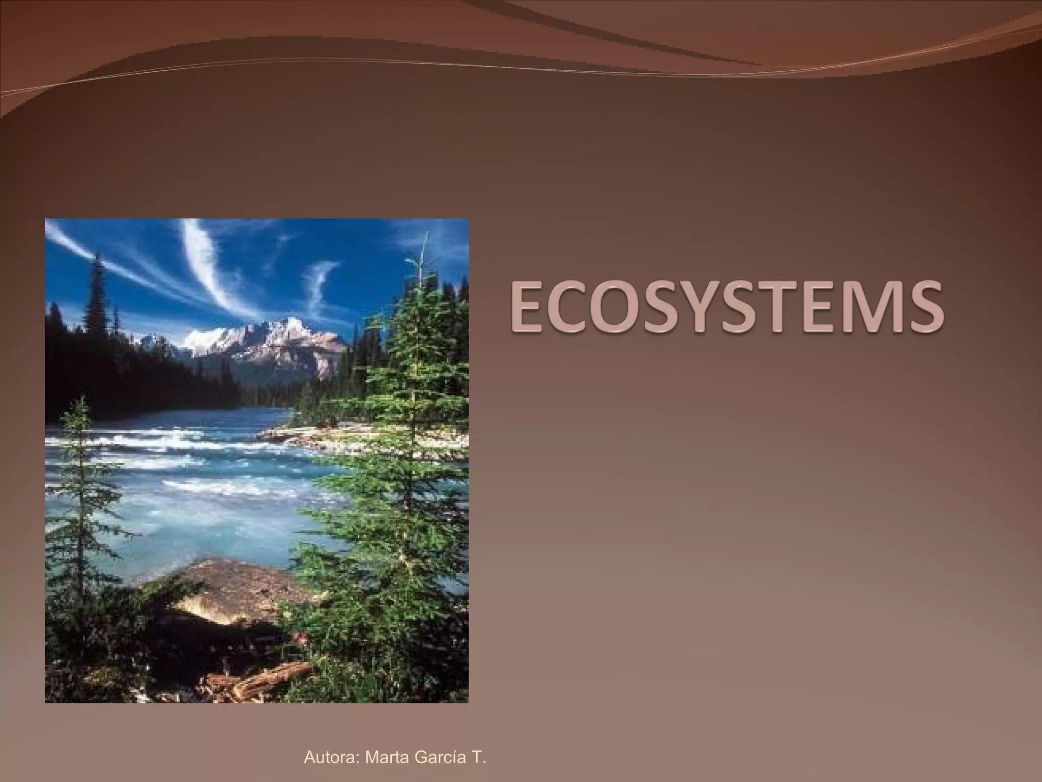 Autora: Marta García T. 