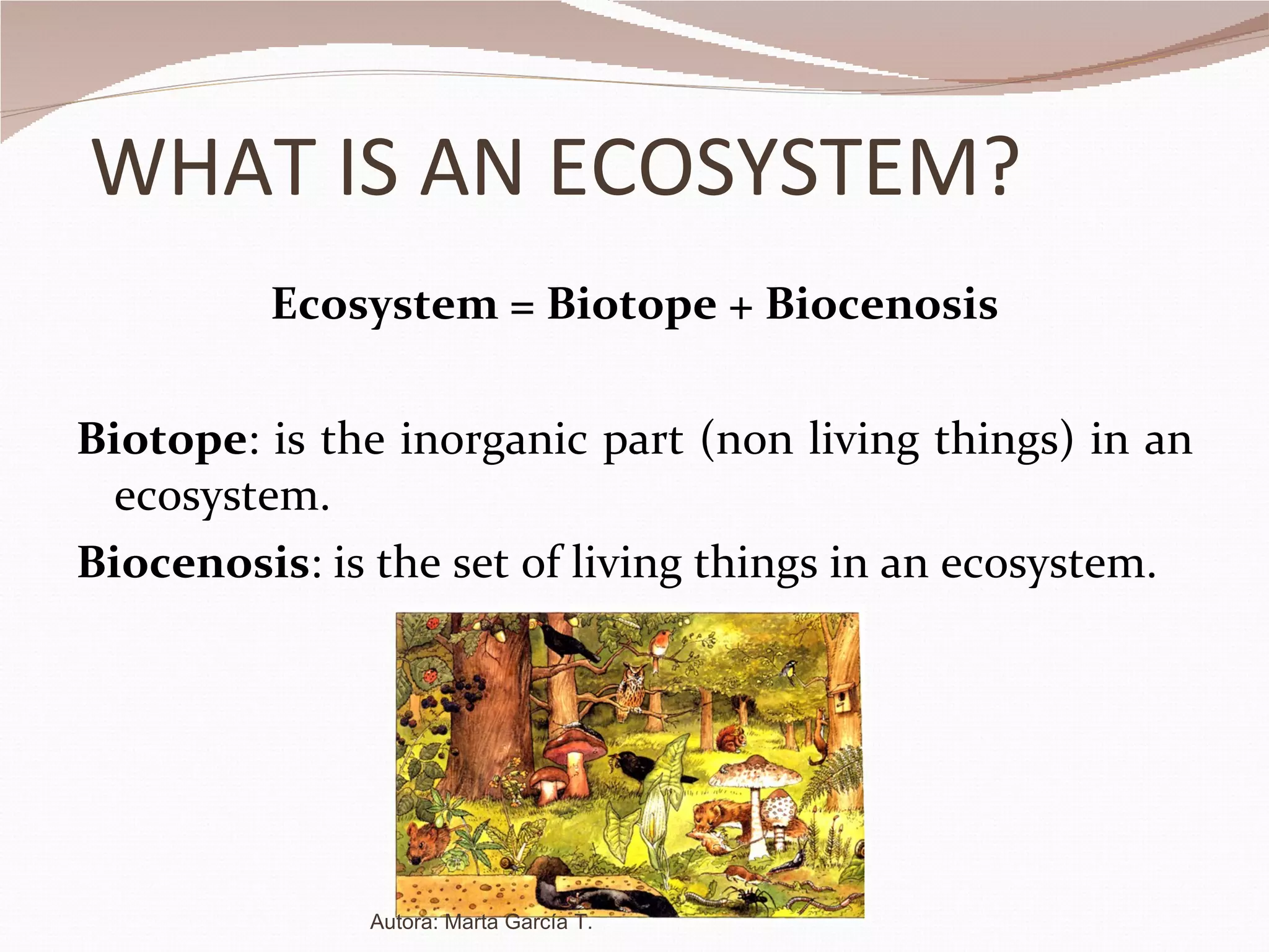 WHAT IS AN ECOSYSTEM? Ecosystem = Biotope + Biocenosis Biotope : is the inorganic part (non living things) in an ecosystem. Biocenosis : is the set of living things in an ecosystem. Autora: Marta García T. 