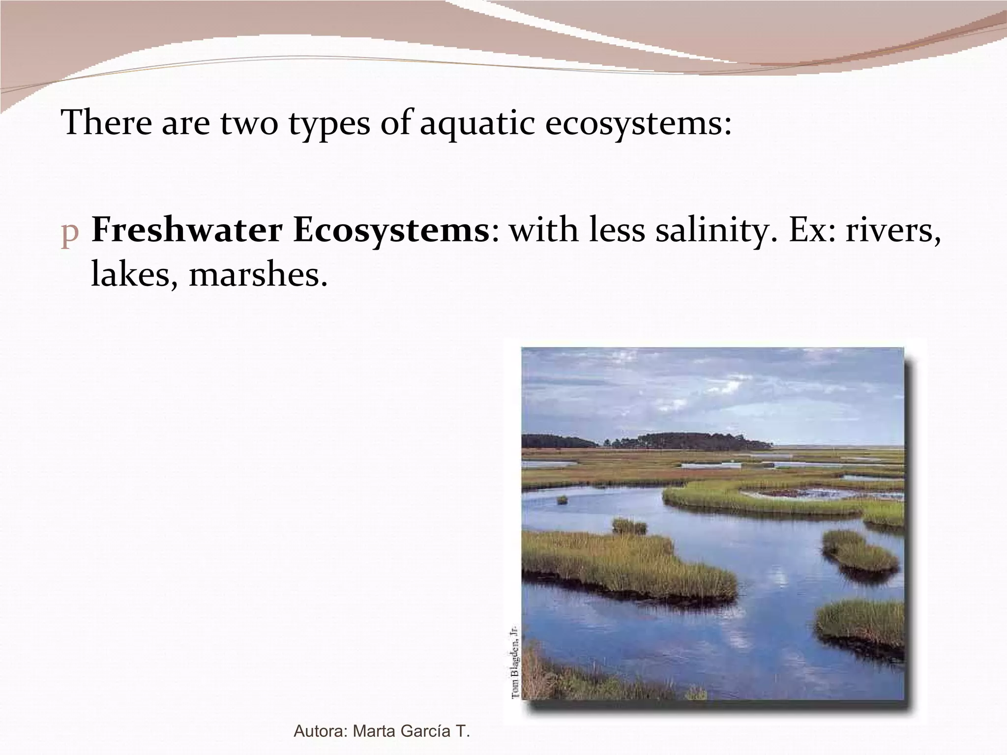 There are two types of aquatic ecosystems: Freshwater   Ecosystems : with less salinity. Ex: rivers, lakes, marshes. Autora: Marta García T. 