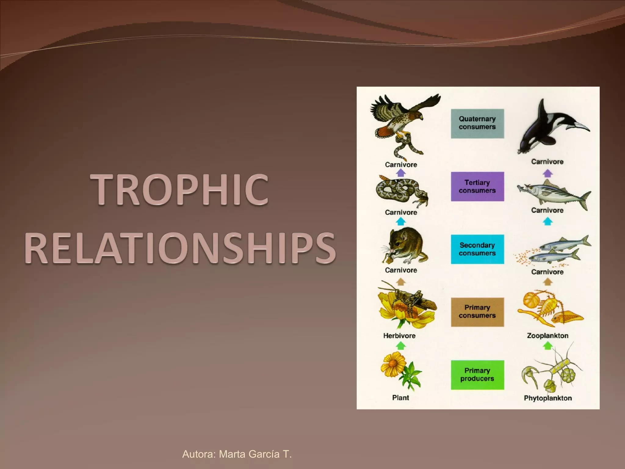 Autora: Marta García T. 