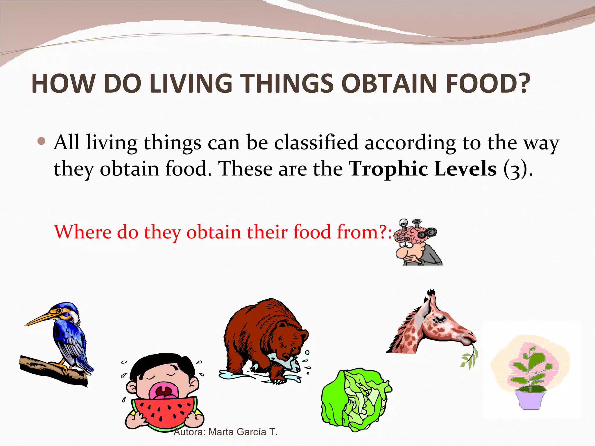 HOW DO LIVING THINGS OBTAIN FOOD? All living things can be classified according to the way they obtain food. These are the  Trophic Levels  (3). Where do they obtain their food from?: Autora: Marta García T. 