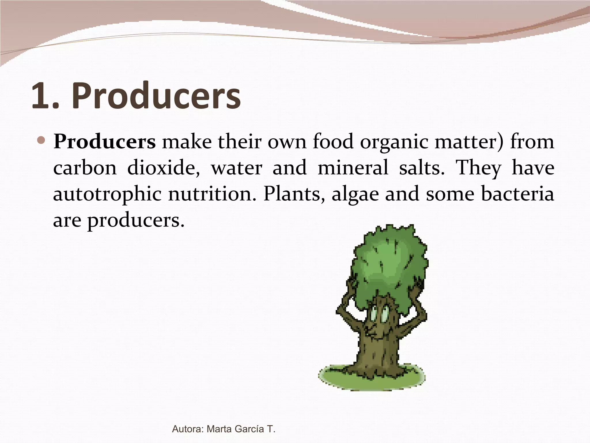 1. Producers Producers  make their own food organic matter) from carbon dioxide, water and mineral salts. They have autotrophic nutrition. Plants, algae and some bacteria are producers. Autora: Marta García T. 