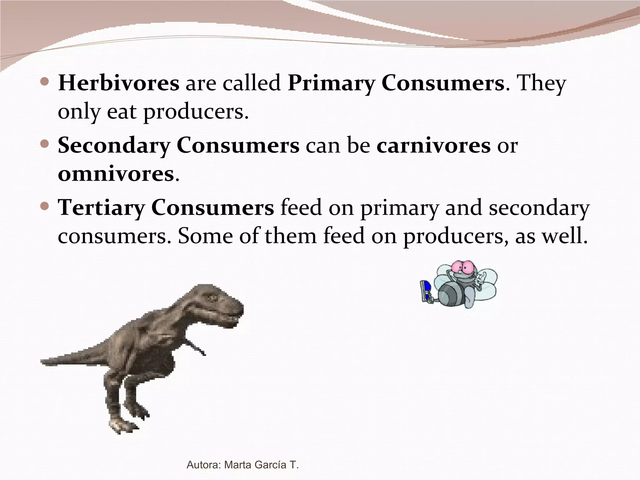 Herbivores  are called  Primary Consumers . They only eat producers. Secondary Consumers  can be  carnivores  or  omnivores . Tertiary Consumers  feed on primary and secondary consumers. Some of them feed on producers, as well. Autora: Marta García T. 