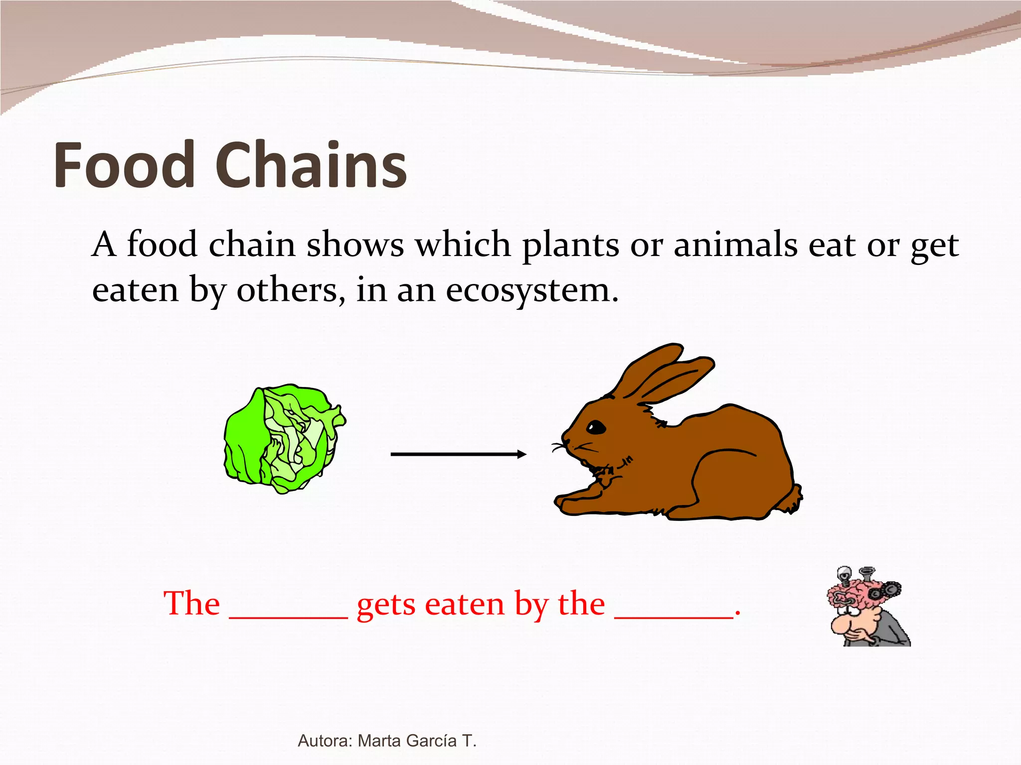 Food   Chains A food chain shows which plants or animals eat or get eaten by others, in an ecosystem. The _______ gets eaten by the _______. Autora: Marta García T. 