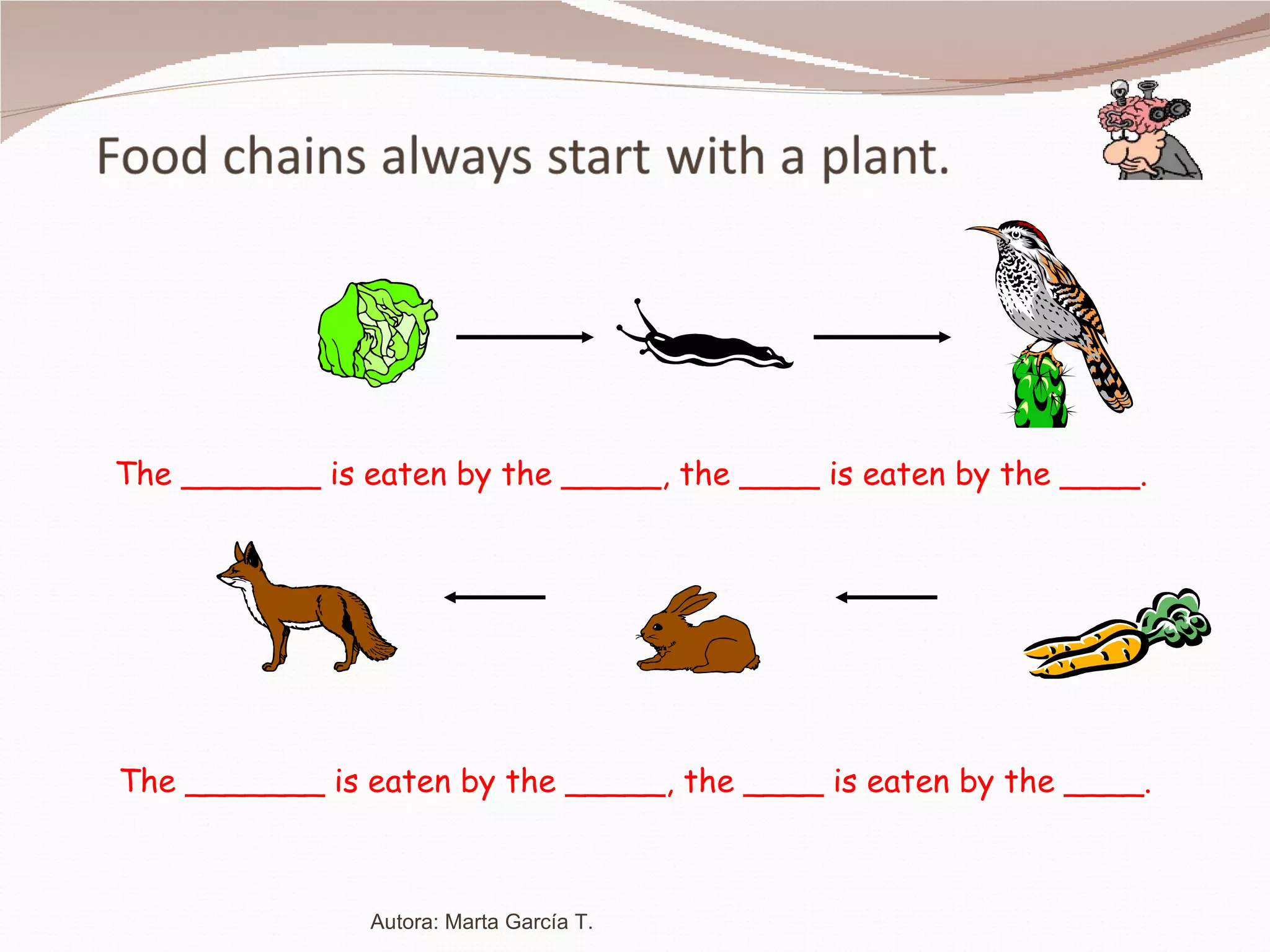 The _______ is eaten by the _____, the ____ is eaten by the ____. The _______ is eaten by the _____, the ____ is eaten by the ____. Autora: Marta García T. 