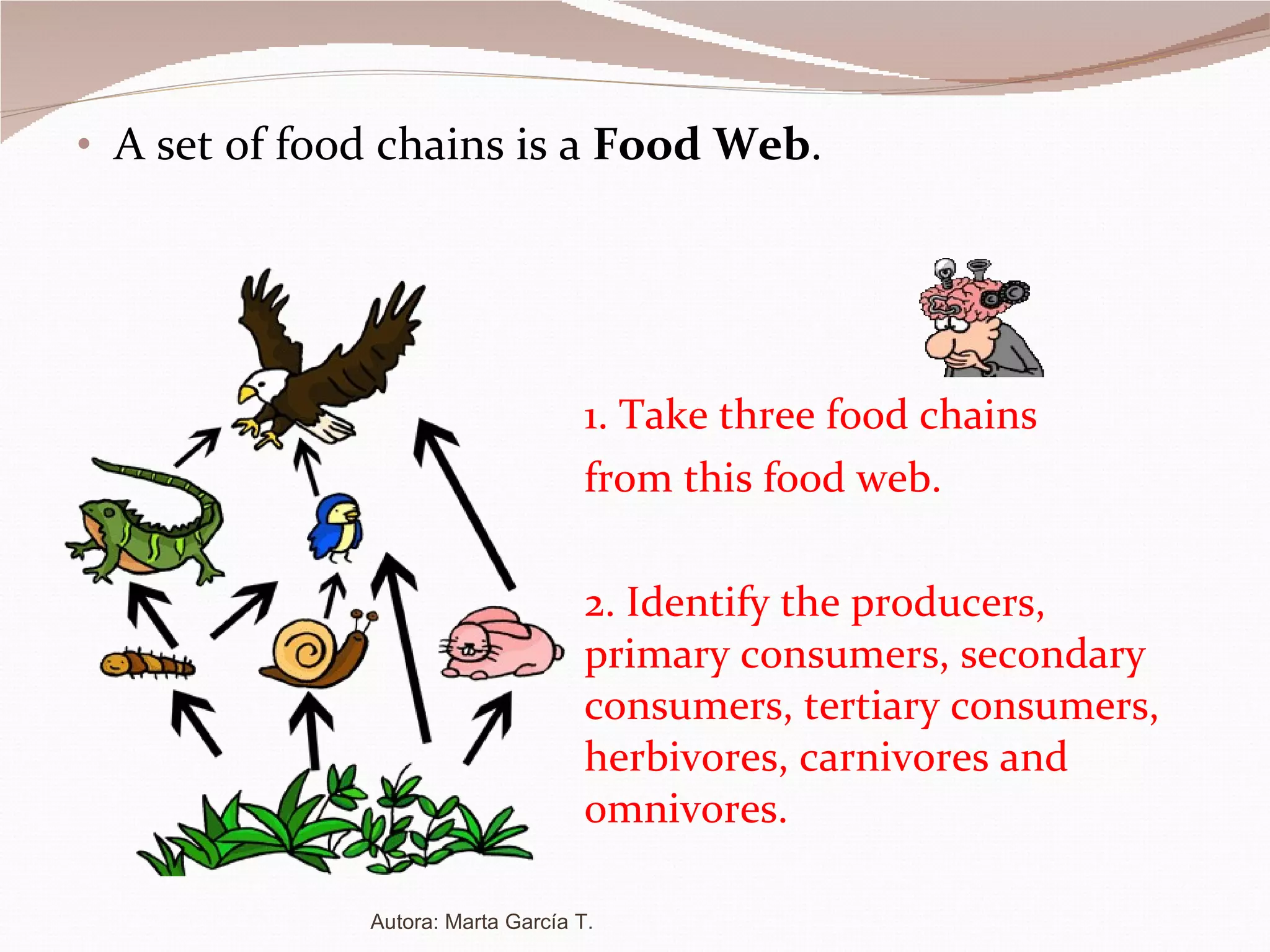 A set of food chains is a  Food Web . 1. Take three food chains  from this food web. 2. Identify the producers,  primary consumers, secondary  consumers, tertiary consumers,  herbivores, carnivores and  omnivores. Autora: Marta García T. 