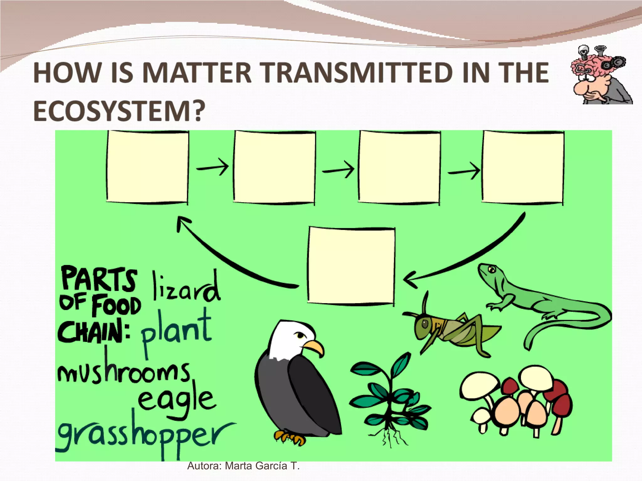 Autora: Marta García T. 