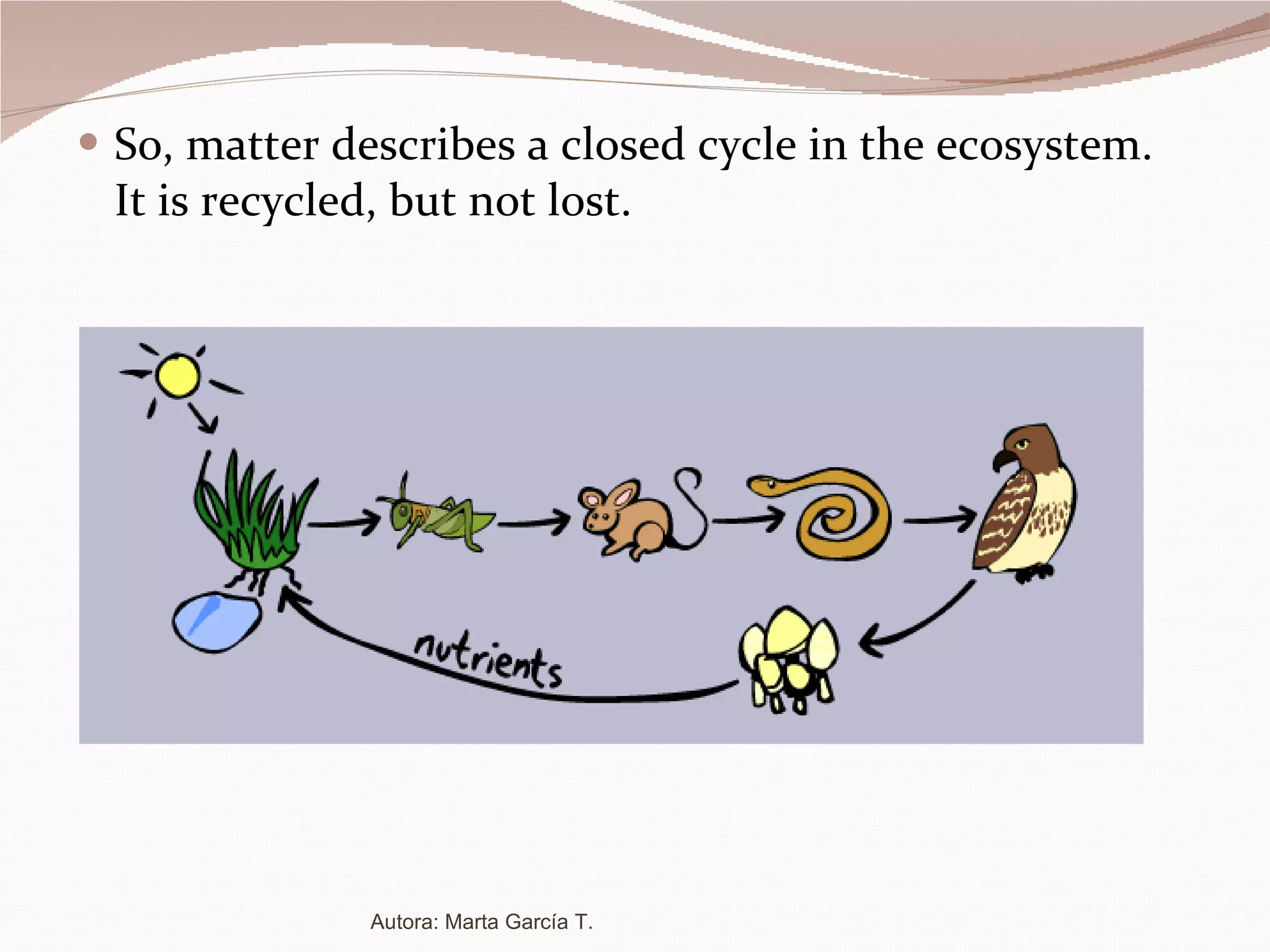 So, matter describes a closed cycle in the ecosystem. It is recycled, but not lost. Autora: Marta García T. 