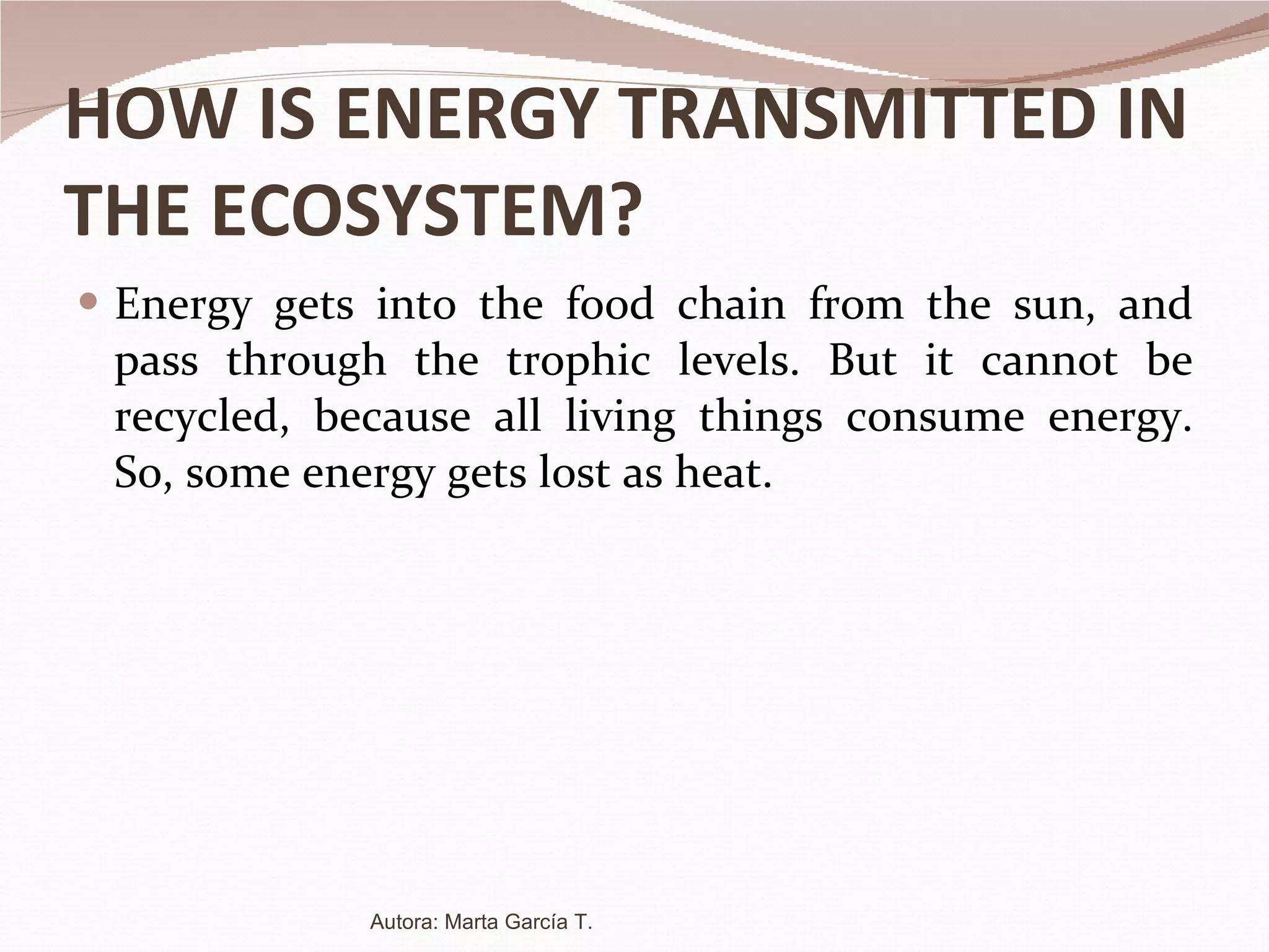 HOW IS ENERGY TRANSMITTED IN THE ECOSYSTEM? Energy gets into the food chain from the sun, and pass through the trophic levels. But it cannot be recycled, because all living things consume energy. So, some energy gets lost as heat. Autora: Marta García T. 