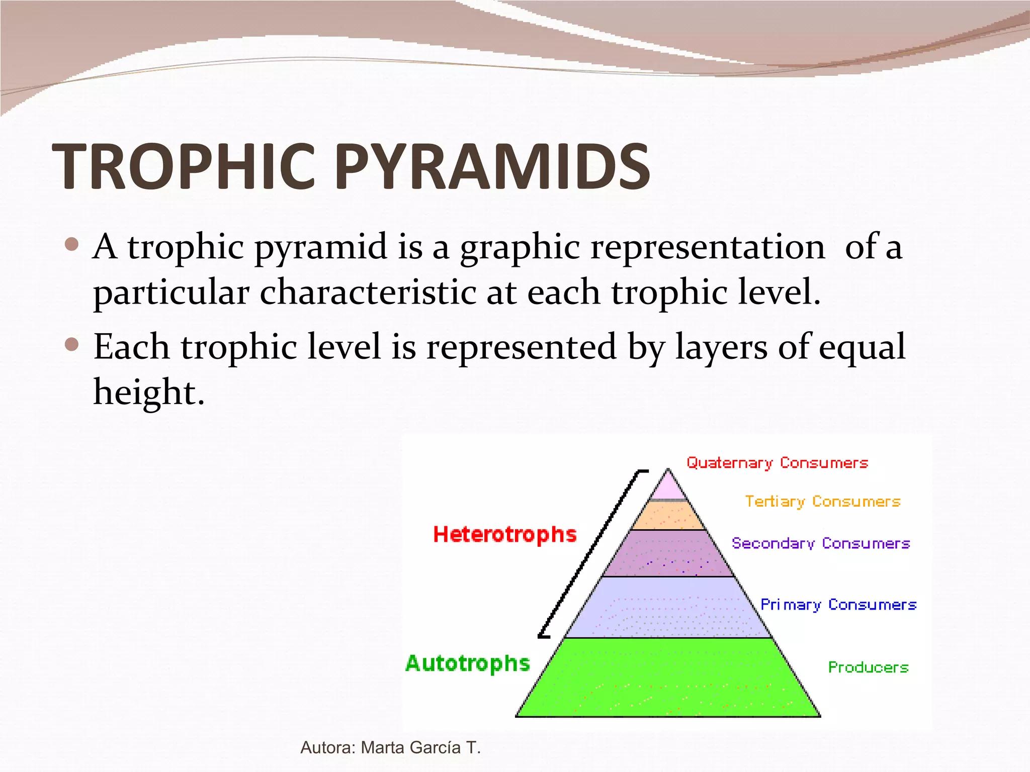 TROPHIC   PYRAMIDS A trophic pyramid is a graphic representation  of a particular characteristic at each trophic level. Each trophic level is represented by layers of equal height. Autora: Marta García T. 