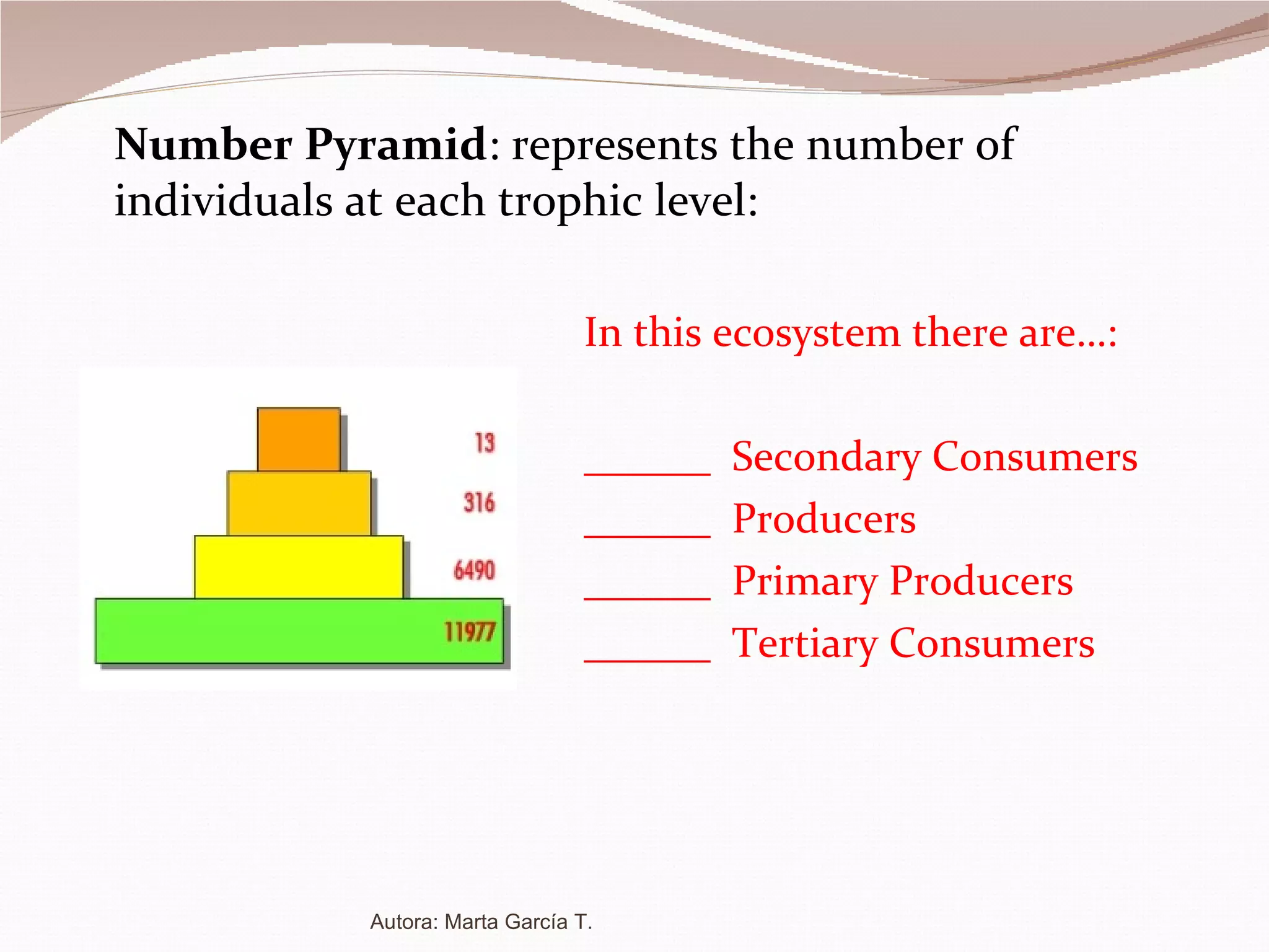 Number Pyramid : represents the number of individuals at each trophic level: In this ecosystem there are…: ______  Secondary Consumers ______  Producers ______  Primary Producers ______  Tertiary Consumers Autora: Marta García T. 