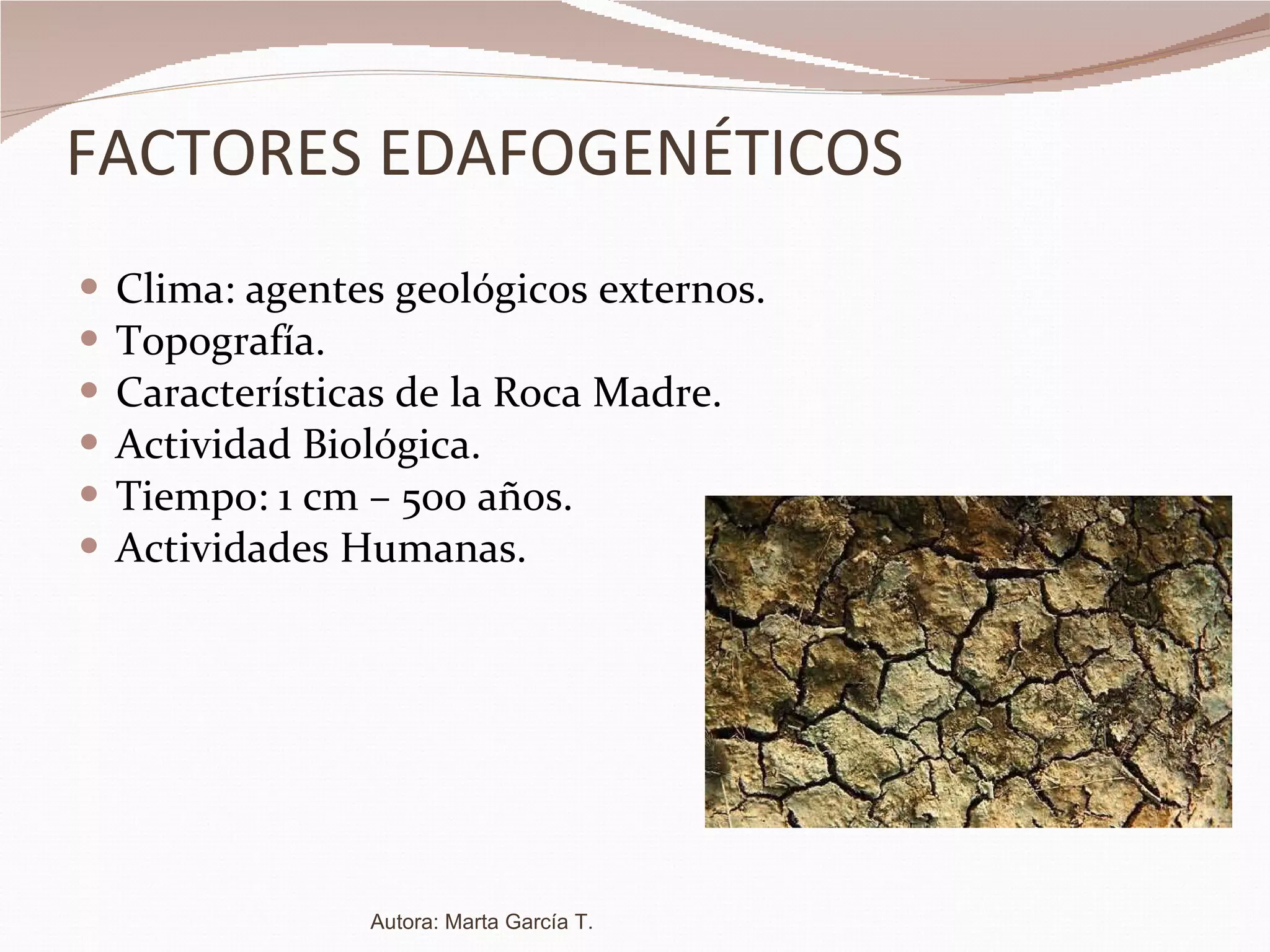 FACTORES EDAFOGENÉTICOS Clima: agentes geológicos externos. Topografía. Características de la Roca Madre. Actividad Biológica. Tiempo: 1 cm – 500 años. Actividades Humanas. Autora: Marta García T. 