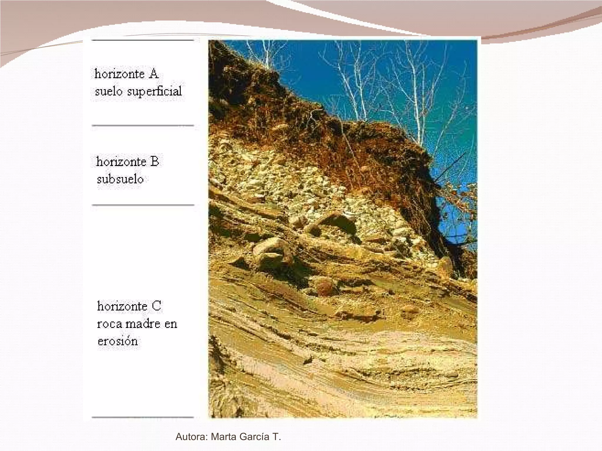 Autora: Marta García T. 