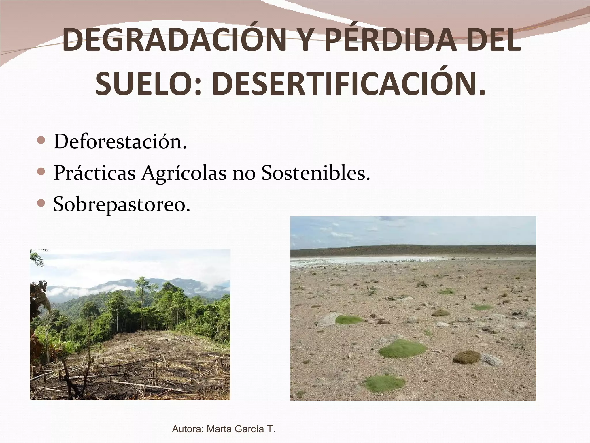 DEGRADACIÓN Y PÉRDIDA DEL SUELO: DESERTIFICACIÓN. Deforestación. Prácticas Agrícolas no Sostenibles. Sobrepastoreo. Autora: Marta García T. 