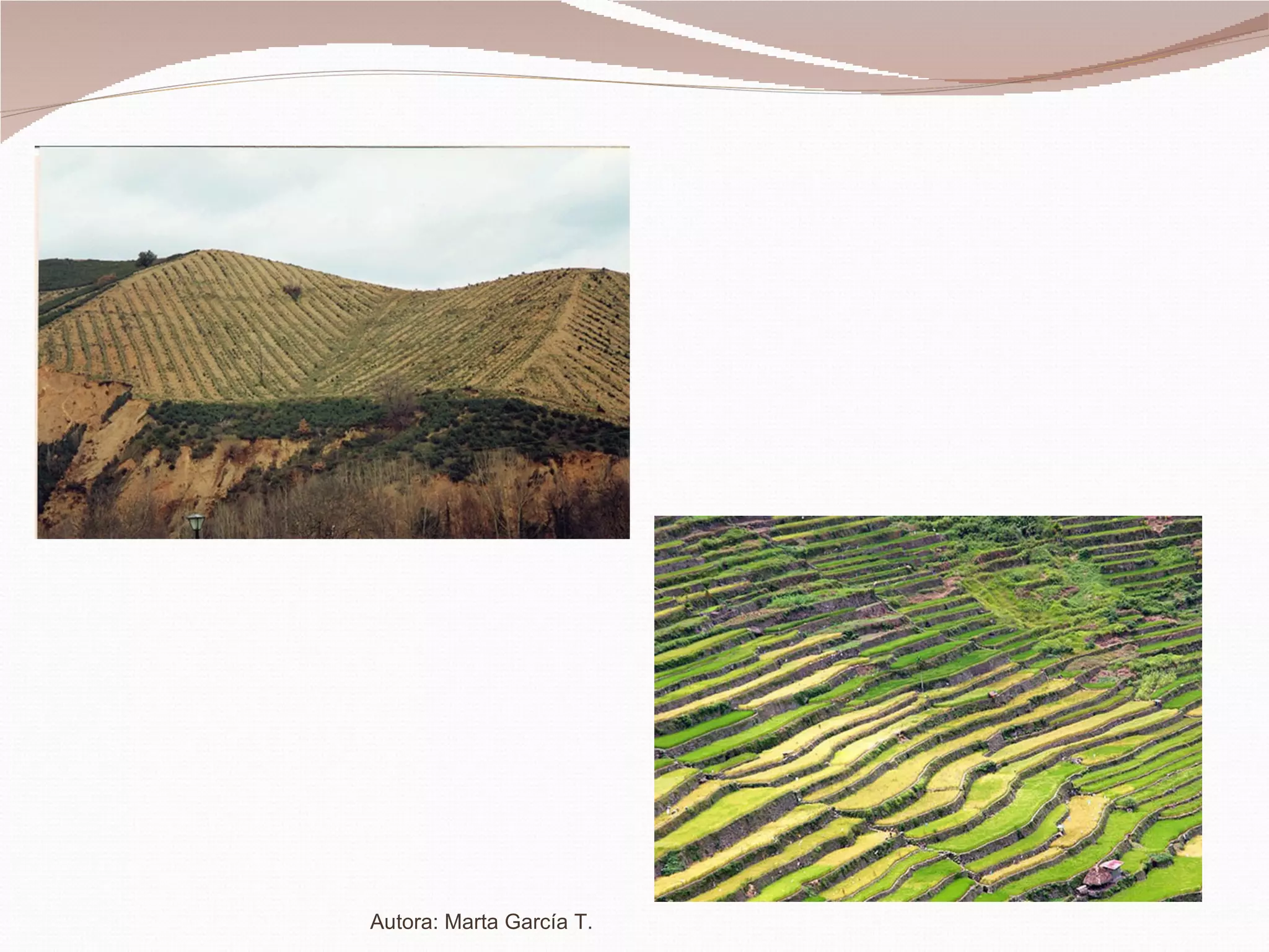Autora: Marta García T. 