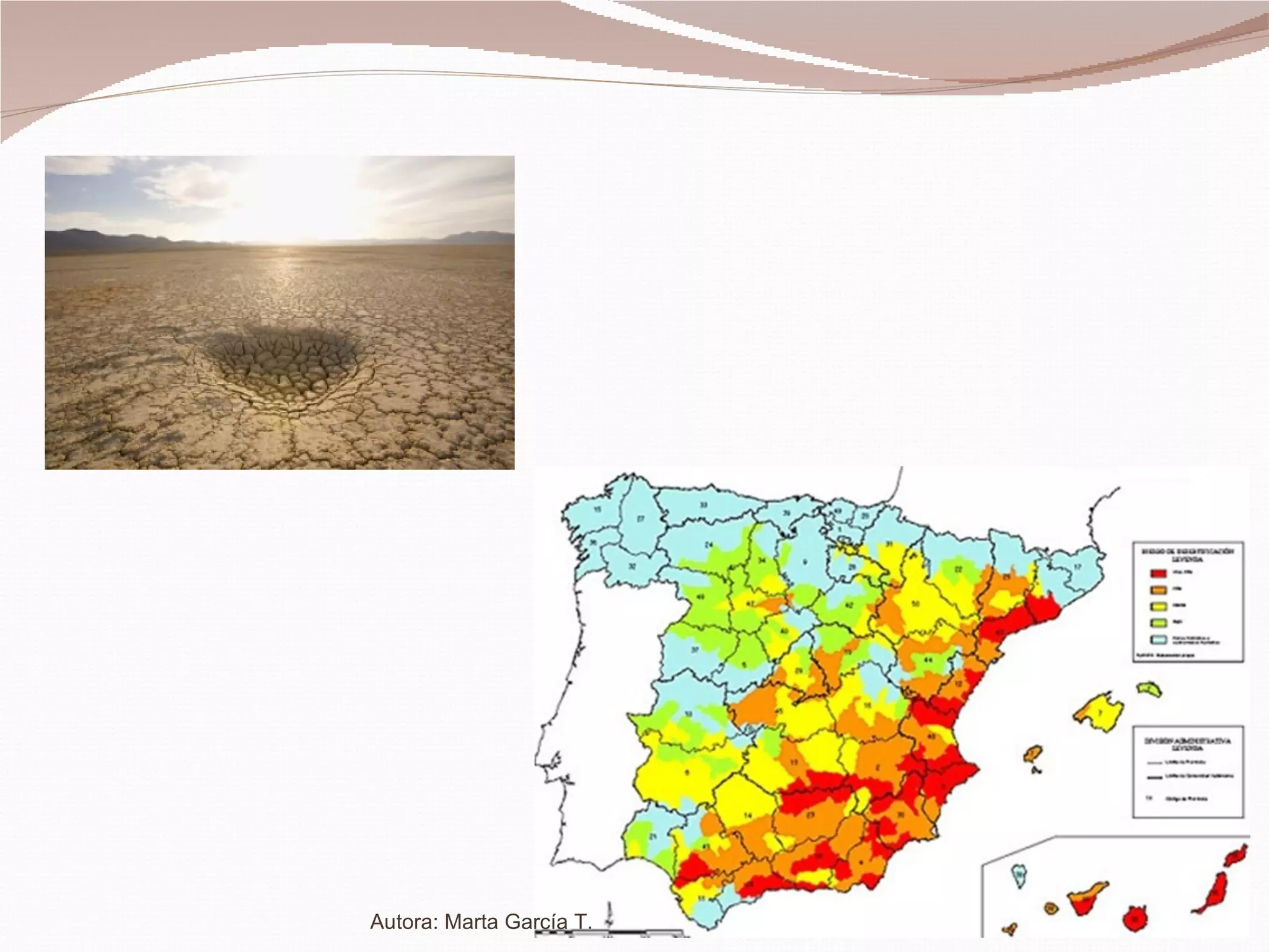 Autora: Marta García T. 