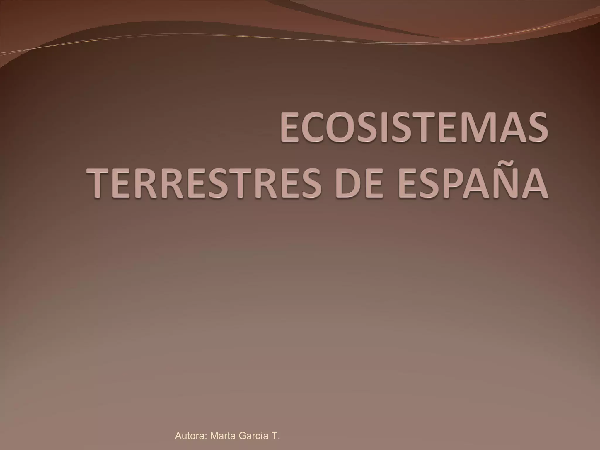 Autora: Marta García T. 
