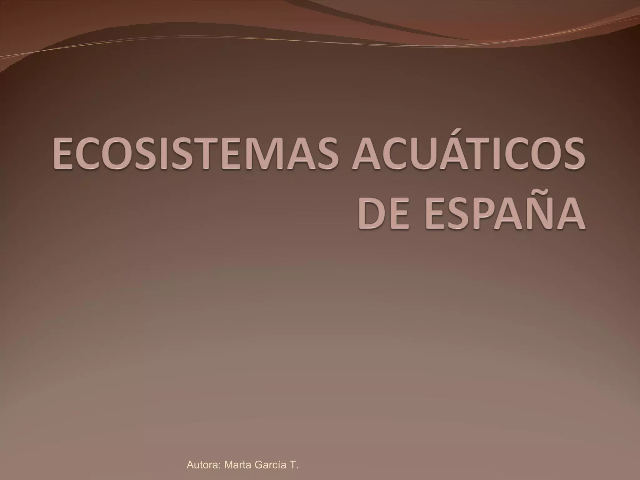 Autora: Marta García T. 
