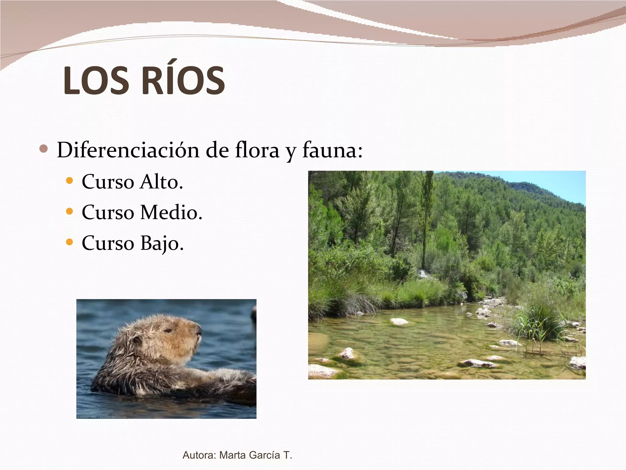 LOS RÍOS Diferenciación de flora y fauna: Curso Alto. Curso Medio. Curso Bajo. Autora: Marta García T. 