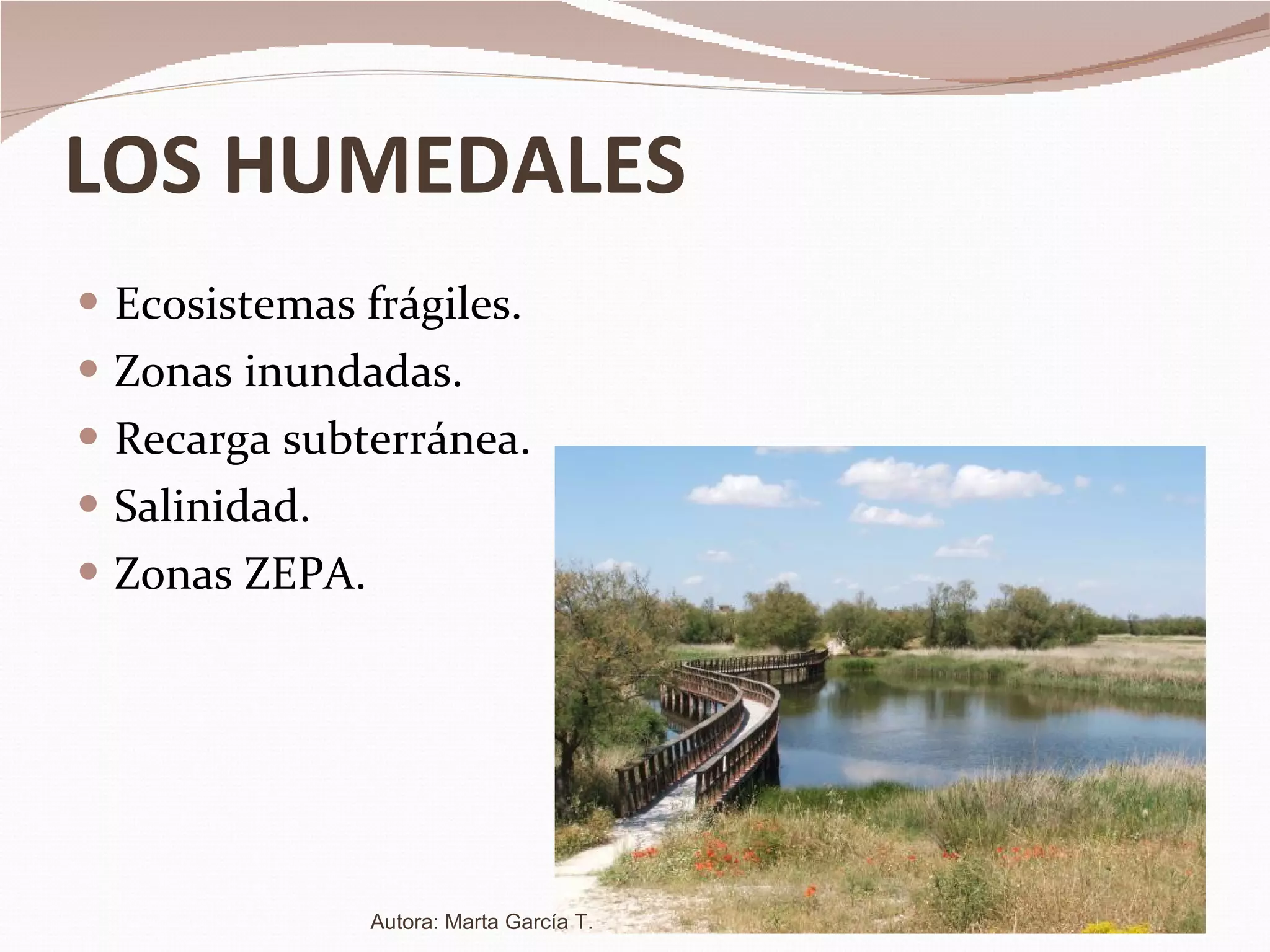LOS HUMEDALES Ecosistemas frágiles. Zonas inundadas. Recarga subterránea. Salinidad. Zonas ZEPA. Autora: Marta García T. 