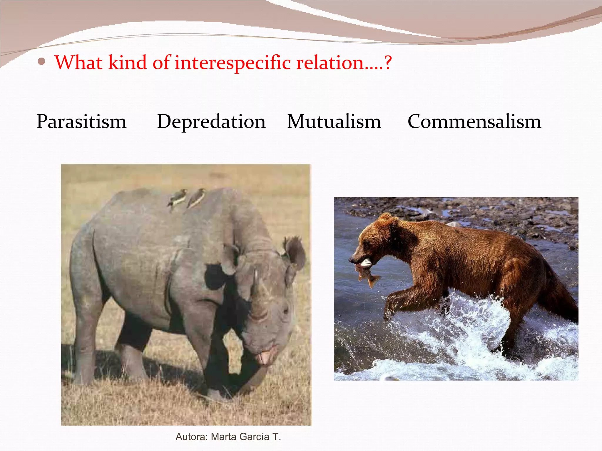 What kind of interespecific relation….? Parasitism Depredation   Mutualism   Commensalism Autora: Marta García T. 