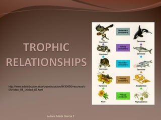 Autora: Marta García T.
http://www.edistribucion.es/anayaeducacion/8430050/recursos/u
05/video_04_unidad_05.html
 