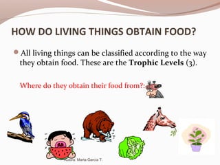 HOW DO LIVING THINGS OBTAIN FOOD?
All living things can be classified according to the way
they obtain food. These are the Trophic Levels (3).
Where do they obtain their food from?:
Autora: Marta García T.
 
