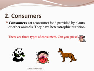 2. Consumers
Consumers eat (consume) food provided by plants
or other animals. They have heterotrophic nutrition.
There are three types of consumers. Can you guess?
Autora: Marta García T.
 