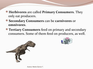 Herbivores are called Primary Consumers. They
only eat producers.
Secondary Consumers can be carnivores or
omnivores.
Tertiary Consumers feed on primary and secondary
consumers. Some of them feed on producers, as well.
Autora: Marta García T.
 